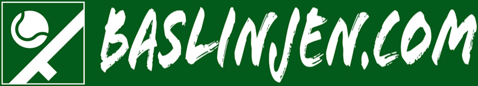 baslinjen.com